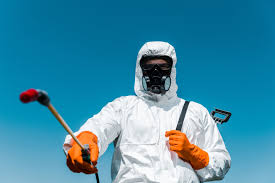 Best Bed Bug Extermination  in Yermo, CA